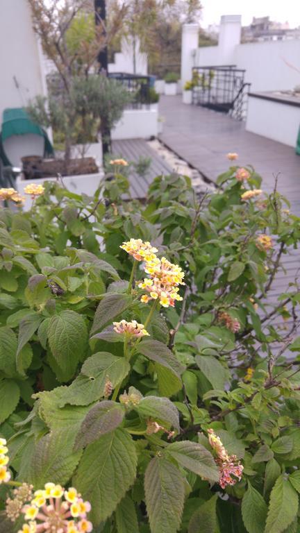 בואנוס איירס Telmho Hotel Boutique מראה חיצוני תמונה